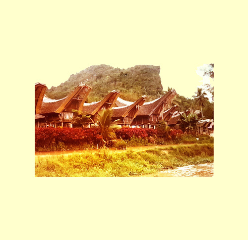Isola Sulawesi, Tana Toraja Tongkonan :dimora tipica dei Toraja