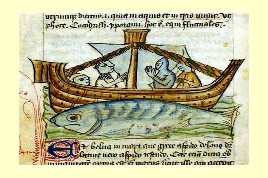 San Brandano di Clonfert, detto il navigatore, nato in Irlanda nel 484 d.C., compì diversi pellegrinaggi via mare toccando, si suppone, le Baleari, le Orcadi, le Fær Øer, l'Islanda e sempre in via ipotetica anche l'America. La Navigatio Sancti Brandani di autore anonimo, risultato del racconto di un sua epica navigazione alla ricerca della mitica «Isola dei Beati» inizialmente trasmesso per via orale, narra degli incontri fantastici che il religioso ebbe modo di fare durante il viaggio sull’Atlantico, tra gli altri di quello con una balena dormiente scambiata per un’isola sulla quale Brandano con il suo equipaggio di sessanta uomini «sbarcò» per dire messa in occasione della Pasqua. Qui vediamo la raffigurazione dell’episodio in una incisione tratta da Nova Typis transacta navigatio di Caspar Plautius del 1621. La sproporzione dell’essere marino assimilabile a un cetaceo per la presenza di uno sfiatatoio, che però appare dotato di due opercoli ben distinti, è del tutto evidente.